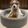 pure wool pet bed from soulnature made with British wool in the UK