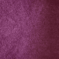 foxglove spot colour on pure wool pet bed from soulnature